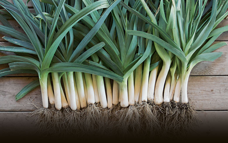 Leeks