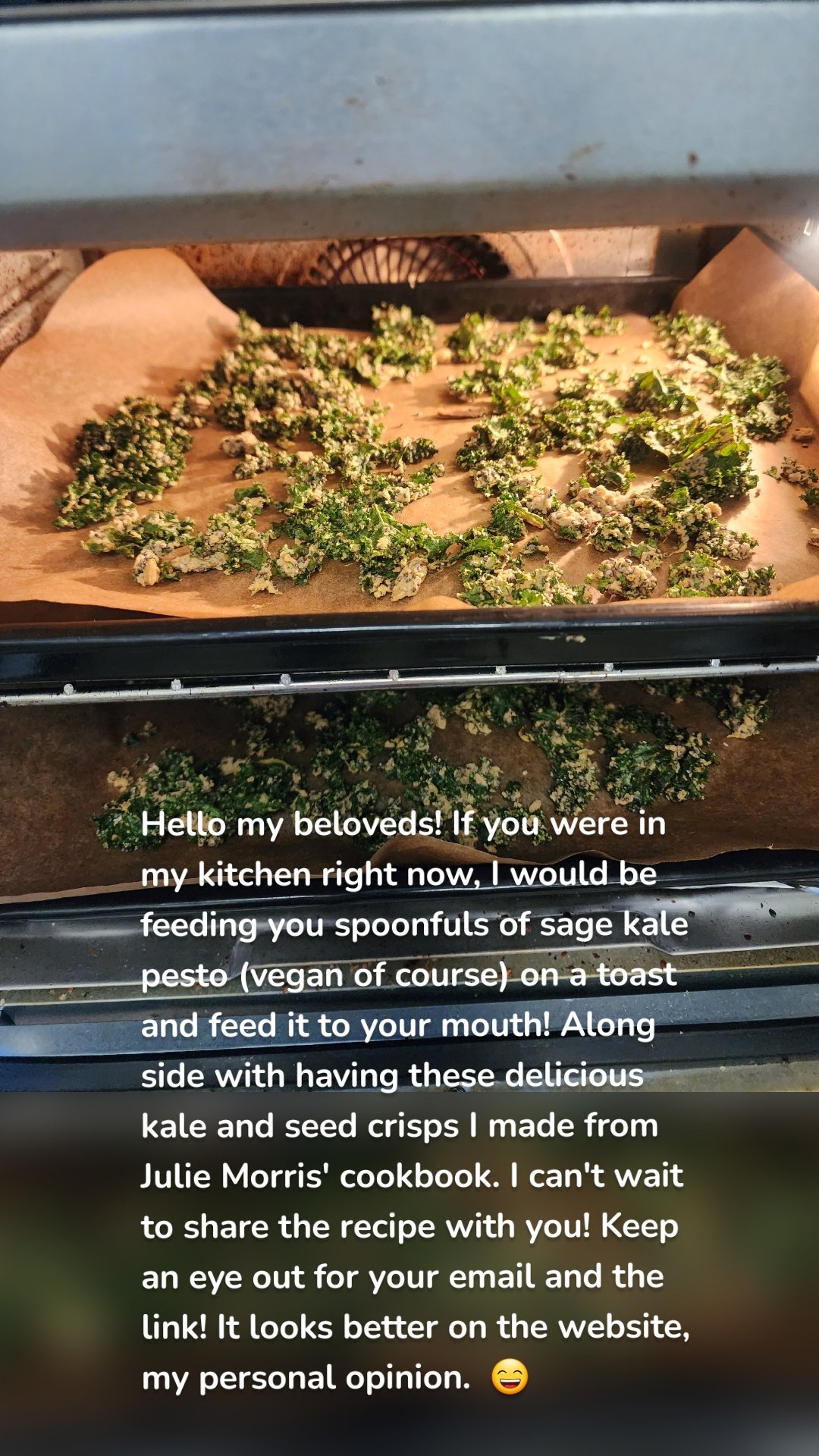 Hello my beloveds! If you were in my kitchen right now, I would be feeding you spoonfuls of sage kale pesto (vegan of course) on a toast and feed it to your mouth! Along side with having these delicious kale and seed crisps I made from Julie Morris' cookbook. I can't wait to share the recipe with you! Keep an eye out for your email and the link! It looks better on the website, my personal opinion.  😄